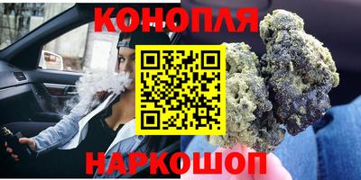 прущие грибы Северобайкальск