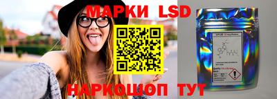 прущие грибы Северобайкальск
