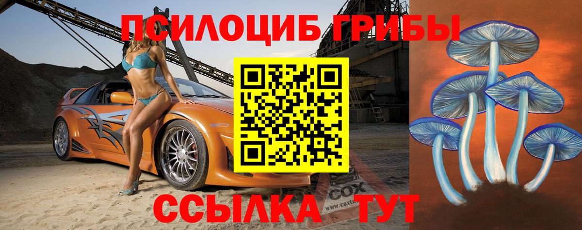 Галлюциногенные грибы Cubensis Новошахтинск